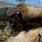 2023OTRA_524 (May 05, 2023)